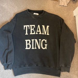 anine bing sweatshirt